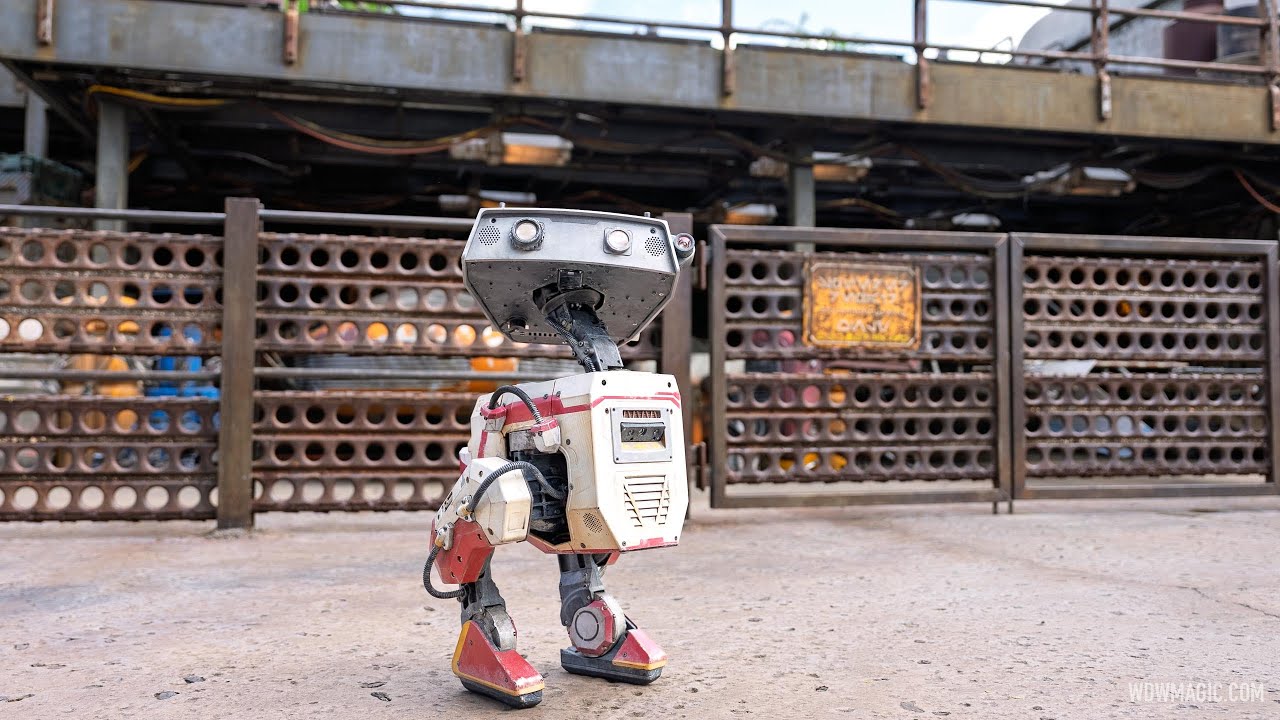 First Star Wars BDX Droid Performance at Walt Disney World